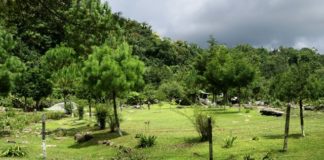 Conserva y preserva Gobierno de Tamaulipas las ANPs