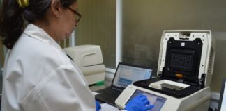 COVID-19: 3 nuevos casos confirmados para Tamaulipas, suman 382 en total