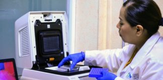 Confirma SST 11 nuevos casos positivos a COVID-19 en Tamaulipas, suman 182