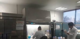 Confirma Secretaría de Salud 6 nuevos casos positivos a COVID-19, van 52 positivos