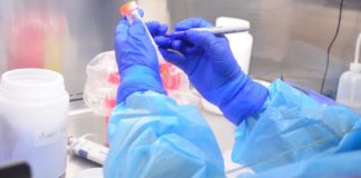 COVID-19: Nuevos casos confirmados para Tamaulipas, suman 68 en total