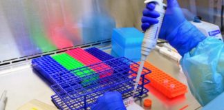 Confirma SST once nuevos casos positivos a COVID-19 en el estado