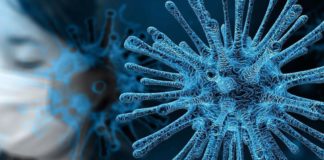 Confirma SST 5 nuevos casos positivos a COVID-19, suman 46 en el estado