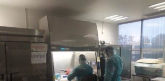 Confirma SST dos casos nuevos positivos a COVID-19 en el estado