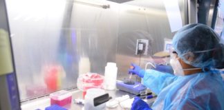 COVID-19: confirma Salud 5 nuevos casos positivos, suman 63 en Tamaulipas