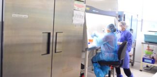 Reportan 2 nuevos casos positivos a COVID-19, suman 82 en Tamaulipas