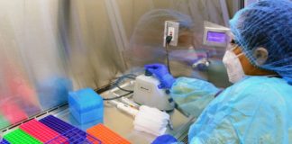 Confirma SST 19 casos nuevos positivos a COVID-19 en el estado, suman 171