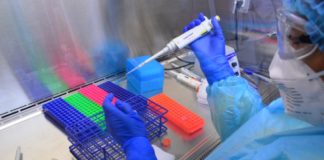 Registra Salud 13 nuevos casos positivos a COVID-19, lo que asciende a 325 casos en Tamaulipas