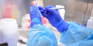 Confirma Salud Tamaulipas 15 nuevos casos de COVID-19, van 111, se registra el quinto fallecimiento