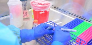 Confirma Salud 10 casos nuevos y 1 defunción por COVID-19 en Tamaulipas