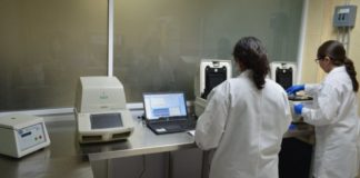 Registra Tamaulipas 11 nuevos casos positivos a COVID-19, suman 419