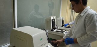 Confirma Tamaulipas 10 nuevos casos positivos a COVID-19, suman 429