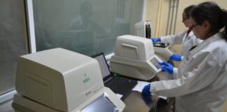 Registra Tamaulipas 34 nuevos casos positivos a COVID-19, quédate en casa insiste Salud