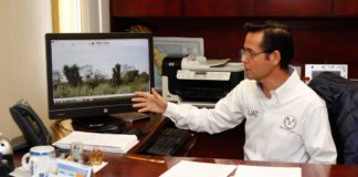 Publican libro Plantas del Matorral Espinoso Tamaulipeco