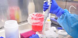 COVID-19, confirma Salud 2 nuevos casos, suman 76 en Tamaulipas