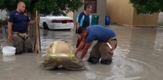 LLAMADO DE PROTECCIÓN CIVIL, A “COCHINOS” QUE SIGUEN TIRANDO TODO TIPO DE DESECHOS Y OBJETOS EN LA CALLE Y LOS DESAGUES