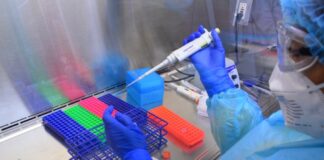 Diagnostican 9 nuevos casos positivos a COVID-19, la cifra asciende a 828 en Tamaulipas