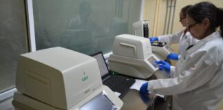 Registra Tamaulipas 19 casos positivos a COVID-19 y 4 nuevas defunciones