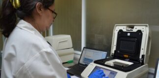 Registra Tamaulipas 36 nuevos casos de COVID-19, exhorta Salud a extremar medidas preventivas