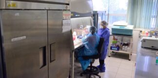 Con 16 nuevos casos de COVID-19 Tamaulipas suma 1,167 pacientes positivos