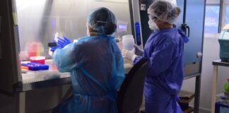 Coronavirus en Tamaulipas aumenta a mil 201 casos, pide Salud extremar precauciones