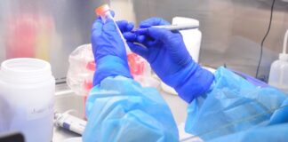 Confirma Tamaulipas 32 nuevos casos de COVID-19, llega a 1,298