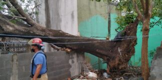 Atención inmediata del Ayuntamiento a la población debido a tormenta