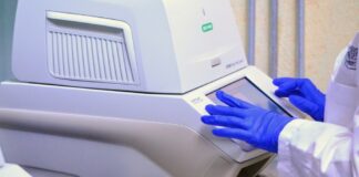 Tamaulipas registra 12 nuevos casos positivos a COVID-19