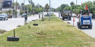 Río Bravo, vive el cambio.