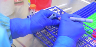 Confirma SST 19 nuevos casos positivos a COVID-19 en Tamaulipas, suman 580