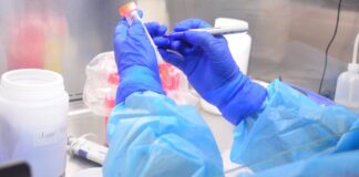 Confirman 20 nuevos casos positivos a COVID-19, el acumulado asciende a 655