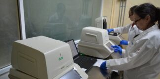 COVID-19, confirma Tamaulipas 11 nuevos casos positivos, la cifra asciende a 556