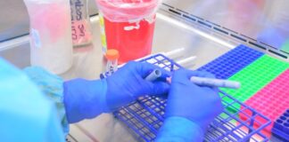 Llama Salud a quedarse en casa tras confirmar 22 nuevos casos de COVID-19