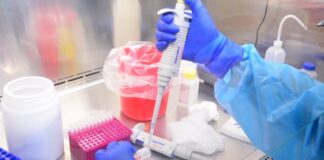 Alcanza Tamaulipas mil 190 casos de COVID-19 “solo quedándose en casa podrán disminuir los contagios”: SST