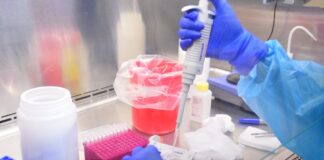 Diagnostica Salud 51 nuevos casos de COVID-19 en Tamaulipas