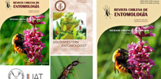 Colabora UAT en el conocimiento de la diversidad de insectos en México