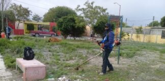 Continúa lucha contra el Dengue en Reynosa