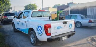 LLEGA A NUEVO PROGRESO CAMPAÑA DE FUMIGACIÔN