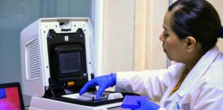 Tamaulipas confirma 61 nuevos casos de COVID-19, el total asciende a 1,992