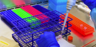 Tamaulipas reporta 3 nuevas defunciones de pacientes positivos a COVID-19