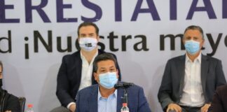 Presentarán entidades controversia constitucional para proteger energías renovables