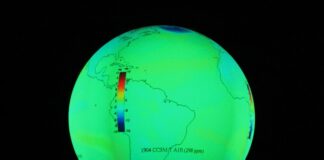 Gobierno de Tamaulipas contribuye a mitigar el cambio climático