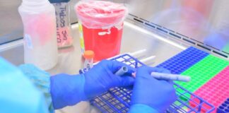 Reporta Salud 43 casos positivos a COVID-19, suman 2,827 en Tamaulipas