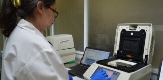 COVID-19 en Tamaulipas, confirman 113 nuevos casos y 12 defunciones