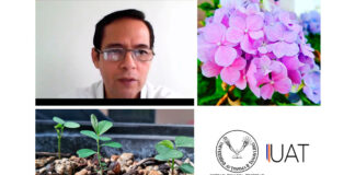 Recomiendan expertos ayudar a la naturaleza durante el confinamiento