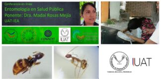 Colabora UAT en red científica de entomología y salud pública