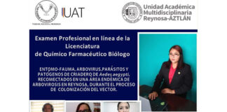 Egresados de la UAM Reynosa Aztlán presentan en línea examen profesional