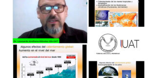 Exponen investigadores de la UAT la importancia de los ecosistemas costeros