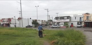 Lucha frontal coordinada contra la reproducción del Dengue