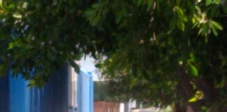 Sanitizan oficinas municipales